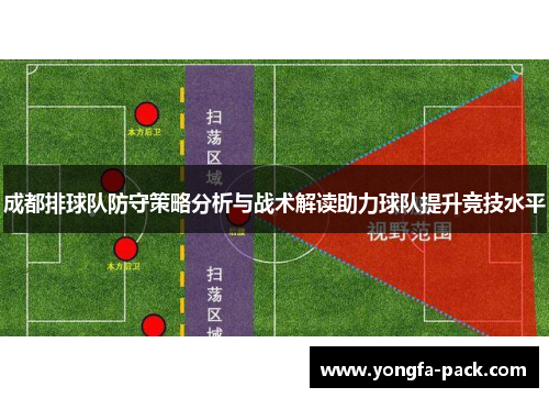 成都排球队防守策略分析与战术解读助力球队提升竞技水平